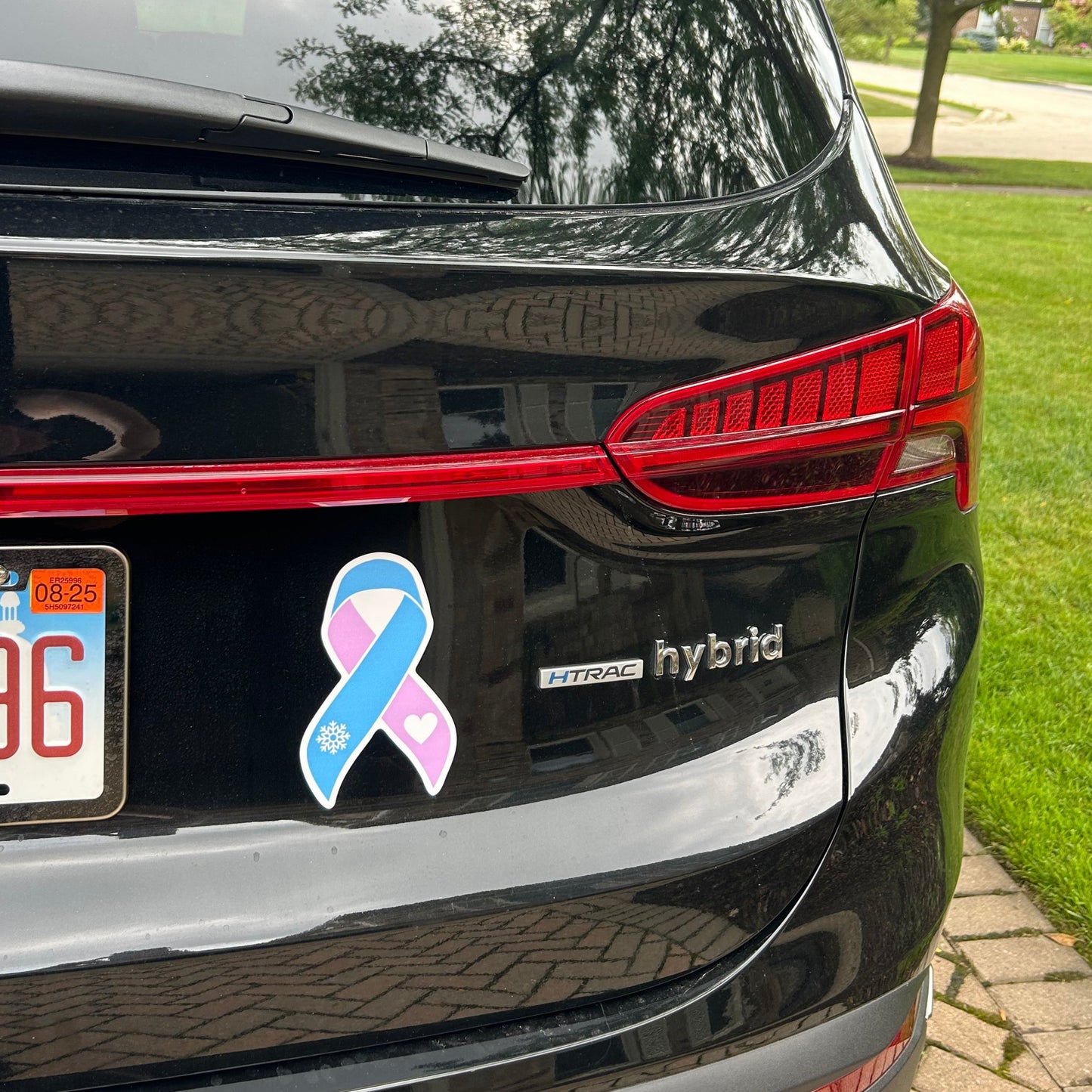 MG + Breast Cancer Car Magnet