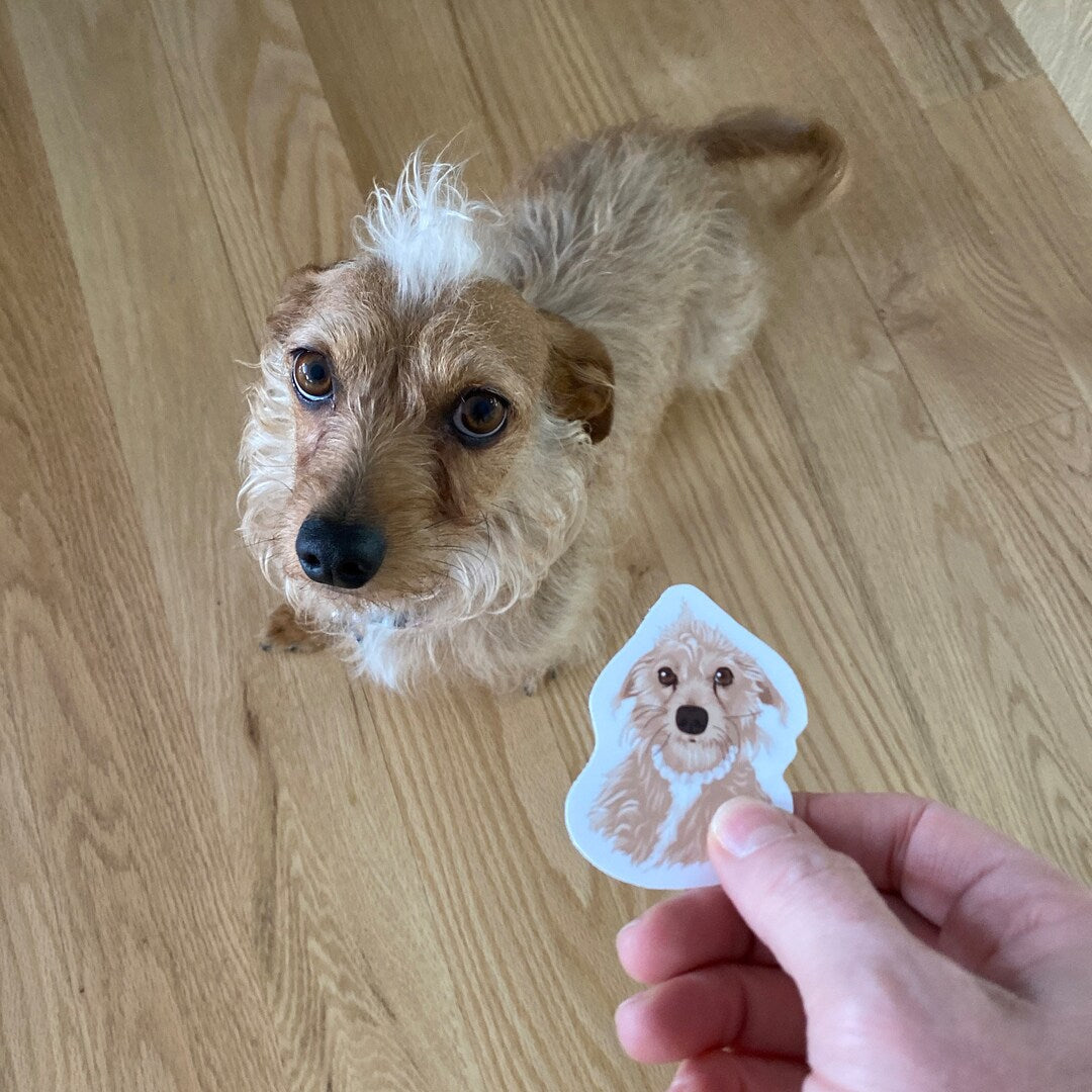 Personalized Dog Face Stickers - Upload your Dog photo